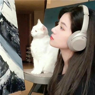 天才小麻烦